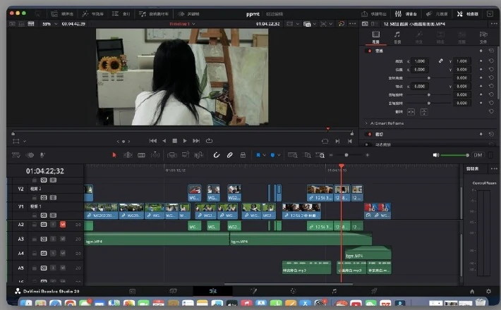 DaVinci Resolve 剪辑工作画面
